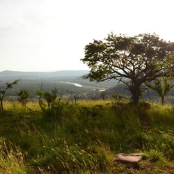2015-05 South Africa/iMfolozi/DSC_0103.JPG